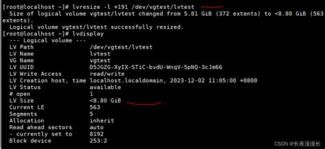 lvm lvresize